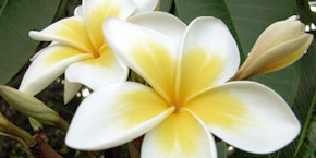 直接、お客様と接しられる事を大切に